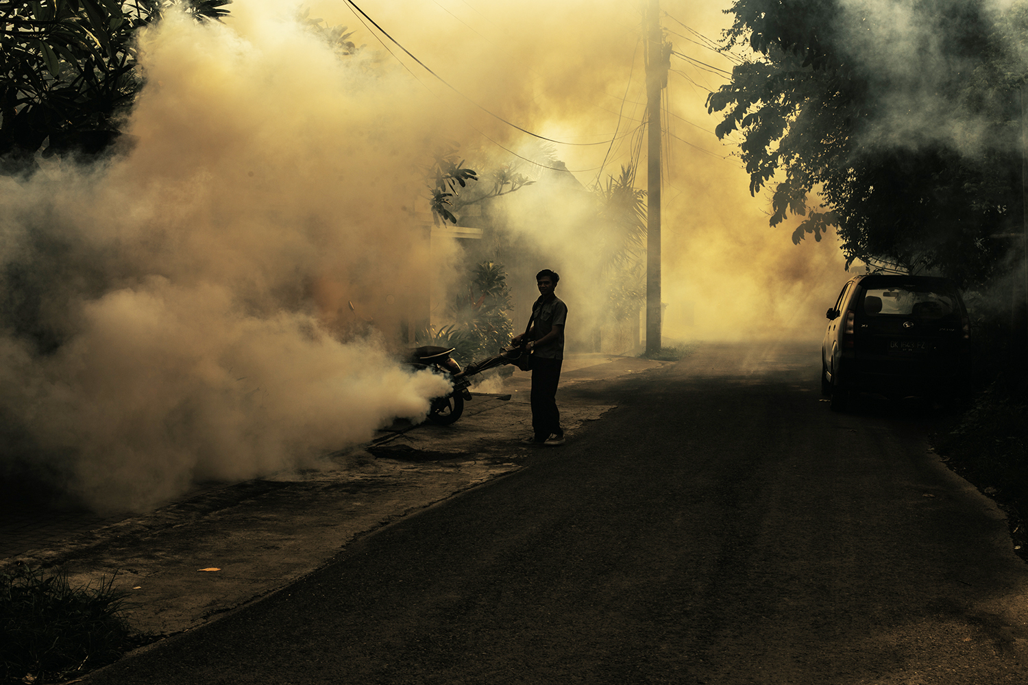 Rising Temperatures Fuel Alarming Increase in Dengue Fever Outbreaks