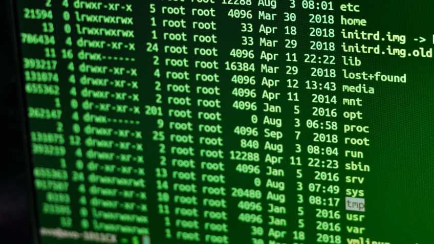 Mastering Kali Linux Commands: Your Ultimate Guide for 2024