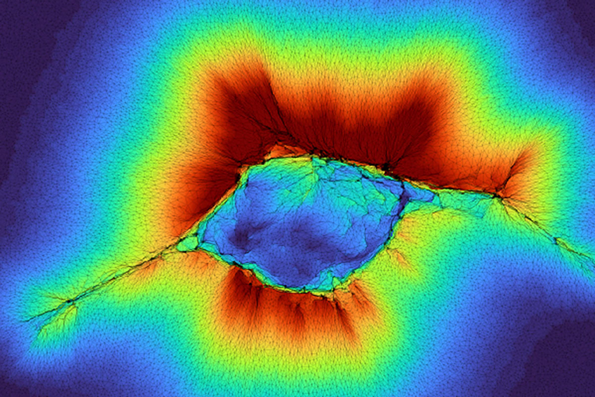 “Collaborative Cells: Enhancing Sensory Perception”