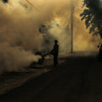 Rising Temperatures Ignite a Spike in Dengue Fever Infections