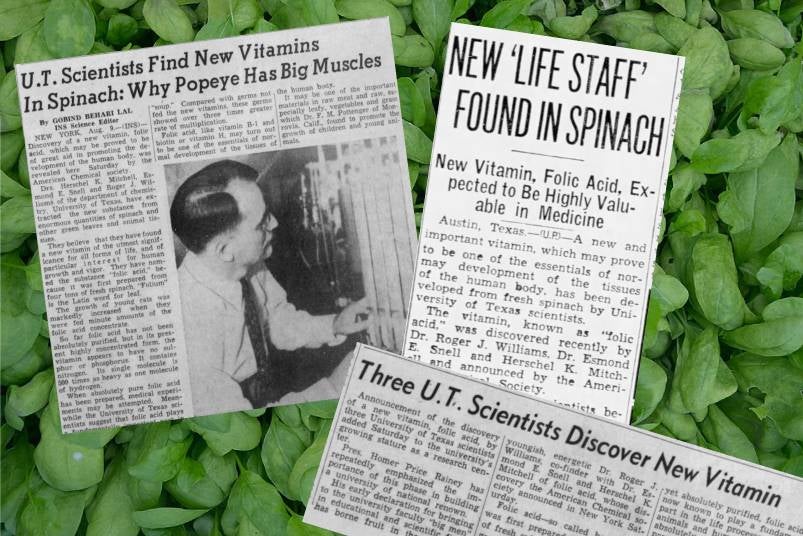 A Bounty of Spinach: How Three Professors Unearthed a Revolutionary Breakthrough