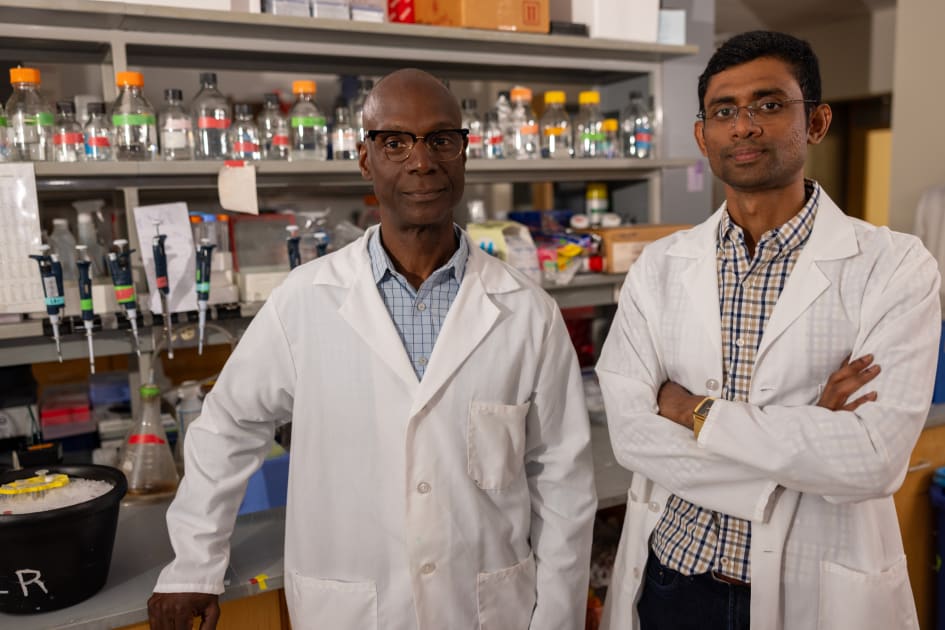Revealing Insights into the Causes and Treatments of Noonan Syndrome Heart Abnormalities