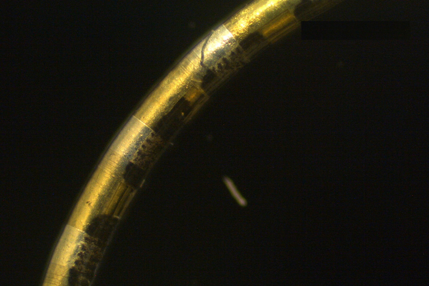 Revolutionary Bioelectronic Fibers: Monitoring Hundreds of Biological Events at Once
