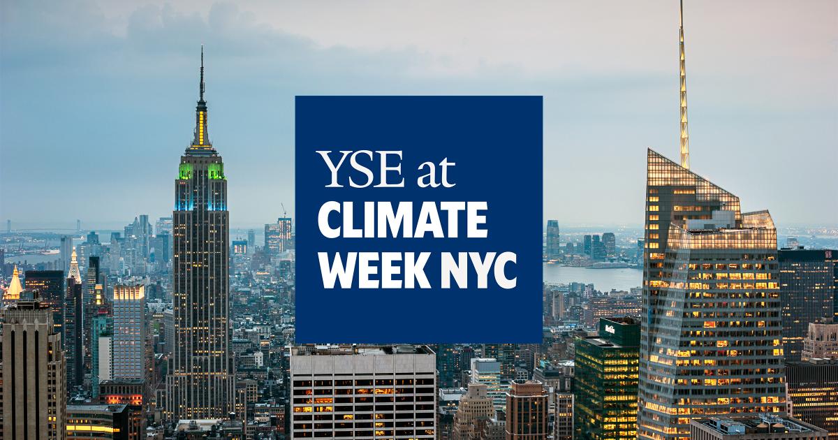 Innovative Insights from YSE Experts Set to Illuminate Progress During NYC Climate Week