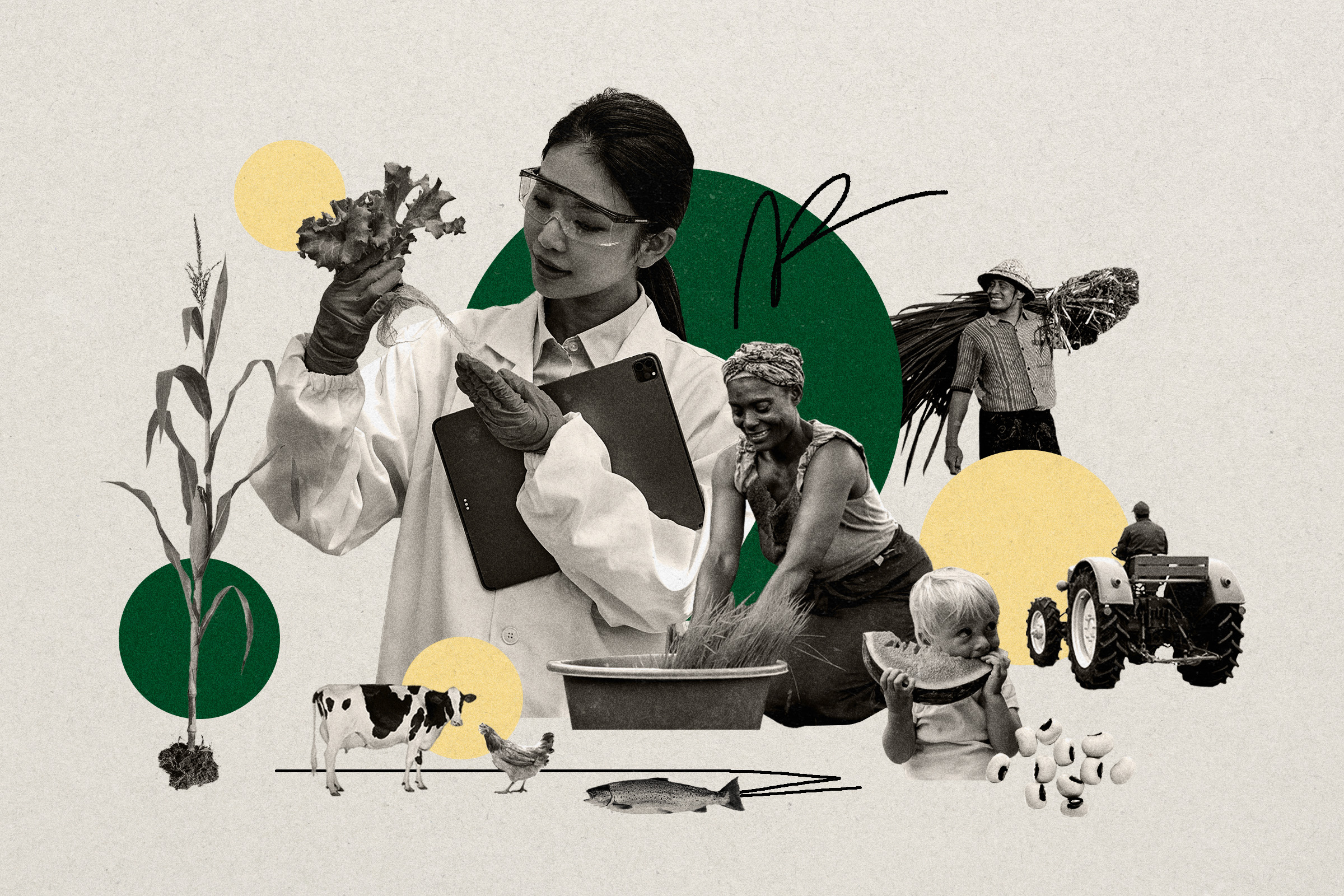Guardians of Our Food Future: Experts Tackle the Biodiversity Emergency
