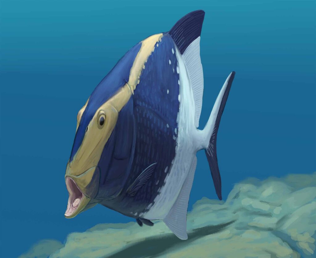 Ancient Fossil Unravels Secrets of Fish Evolution from 310 Million Years Ago