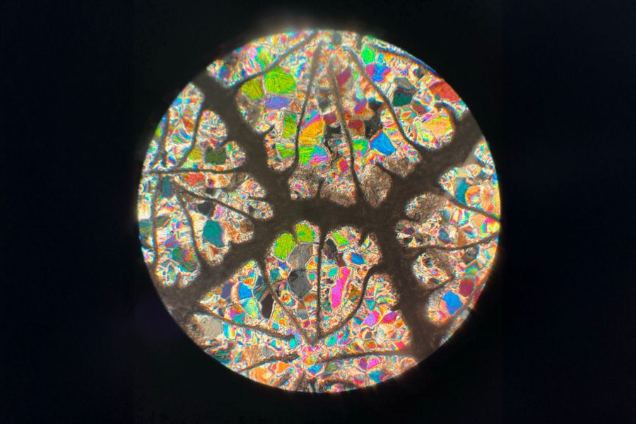 “Exploring Creativity: FSU’s Art in STEM Exhibition Now Open”