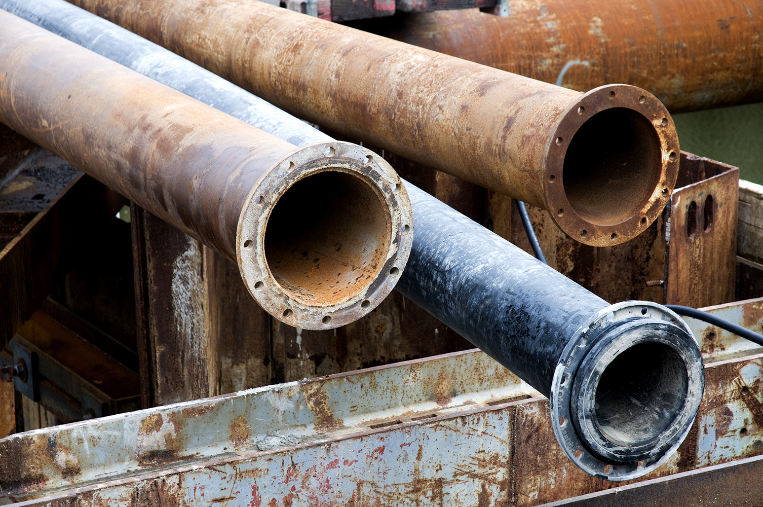 Unraveling the Hidden Effects of Childhood Lead Exposure: Insights from a New Study