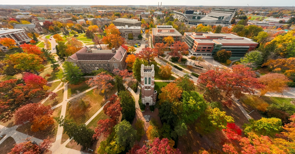 MSU’s Top-Ranked Undergraduate Programs Shine Nationally