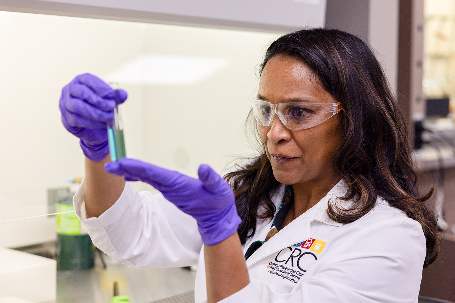 research-project-co-led-by-ut-among-finalists-in-nsf-regional-innovation-engines-program