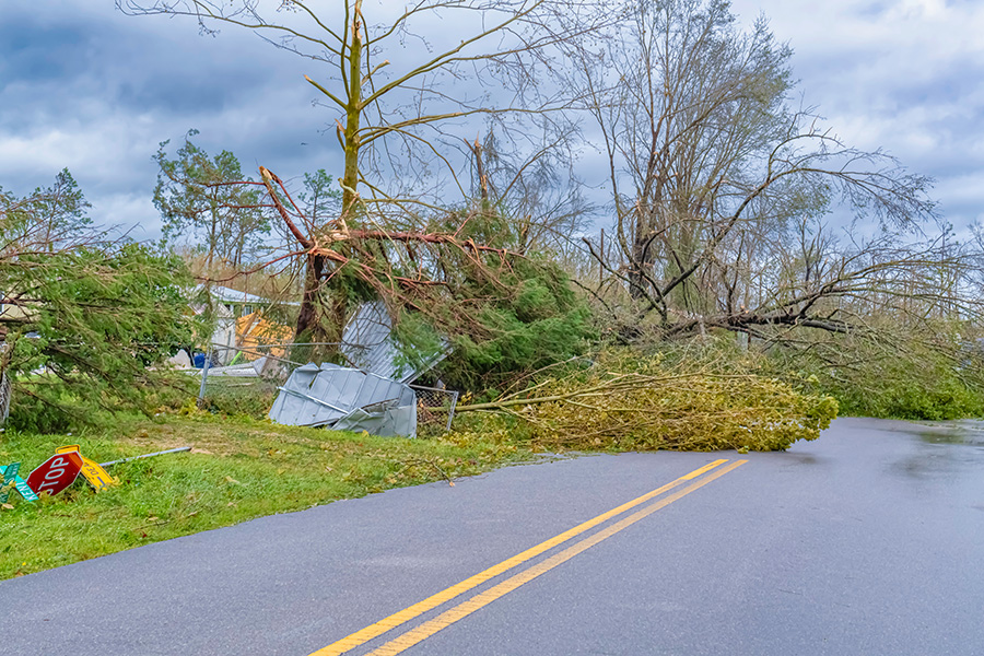Debris from the aftermath of Hurricane Michael, a significant hurricane that impacted the Florida Panhandle in 2018. (Adobe Stock)