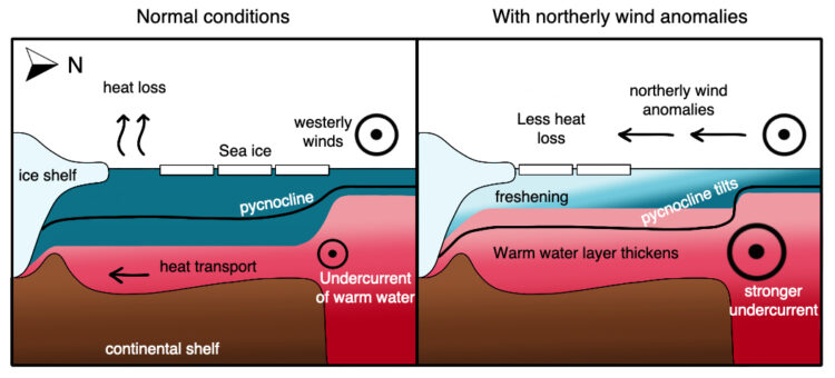 a graphic illustrating how wind shifts the sea ice to enhance ice shelf melting and draw in warmer water from a greater distance.