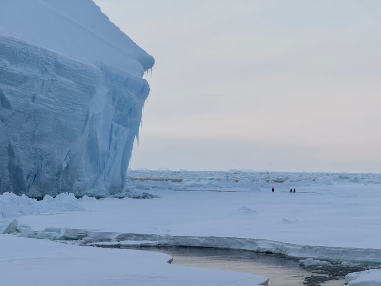 A substantial mass of ice rests above the ice-covered terrain of west Antarctica. Penguins traverse the surface of the sea ice.