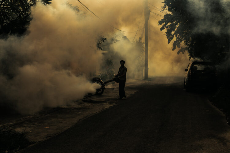An individual utilizes a portable device to disperse anti-mosquito fog across a dim street. The dense fog envelops the road.