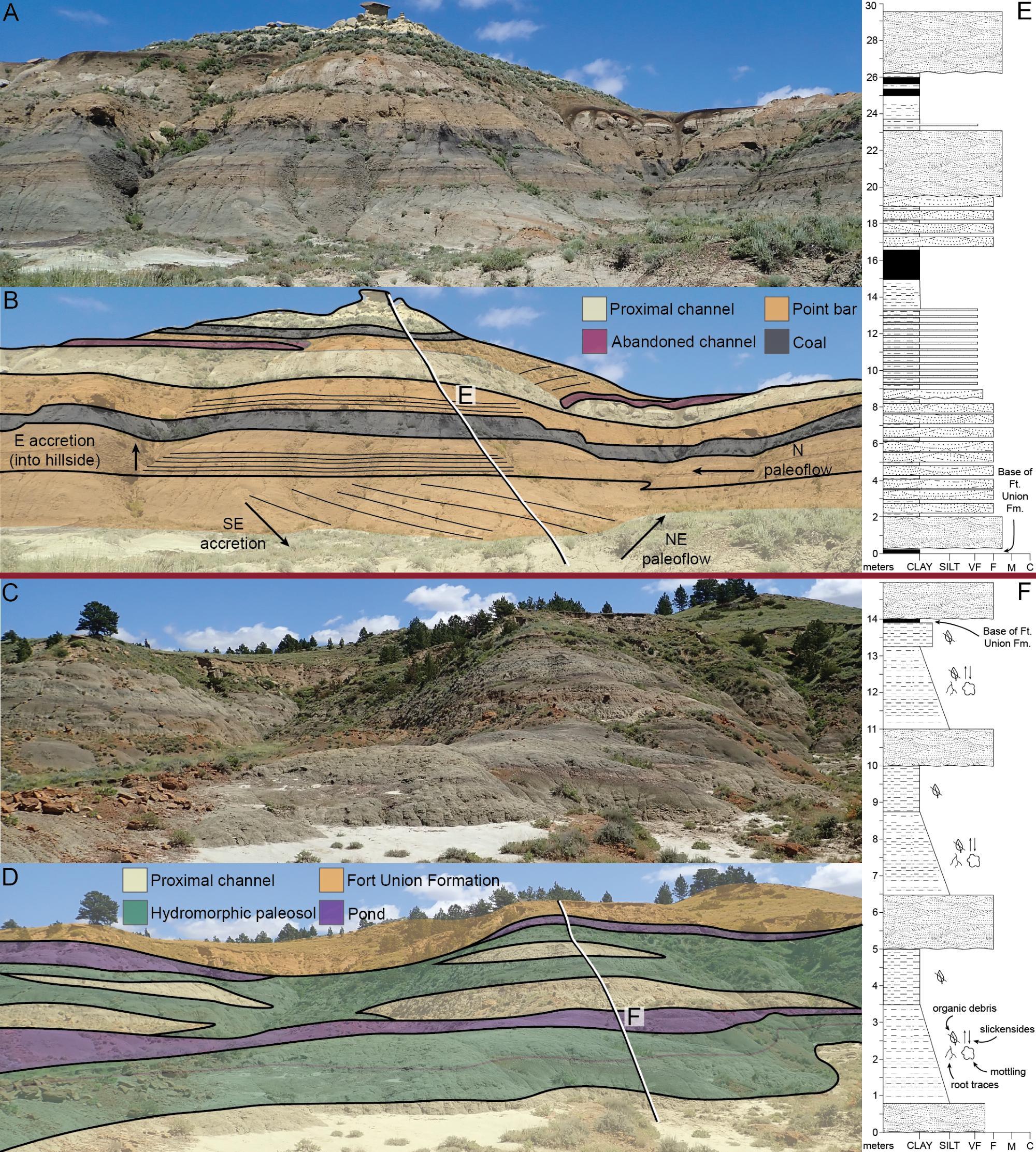 The Forgotten Architect: How Dinosaurs Shaped Our Ecosystems