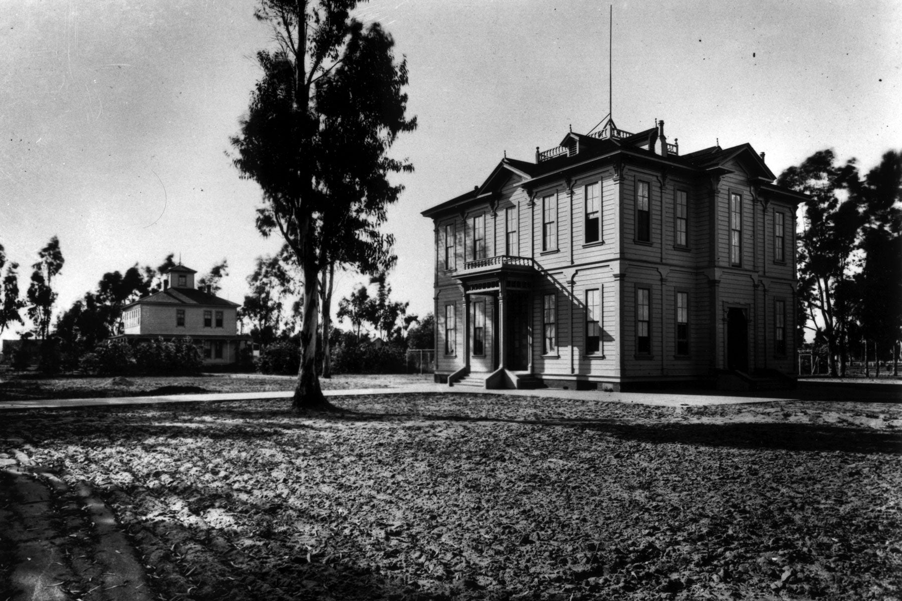 Timeless Resilience: A Legacy of 145 Years and Counting