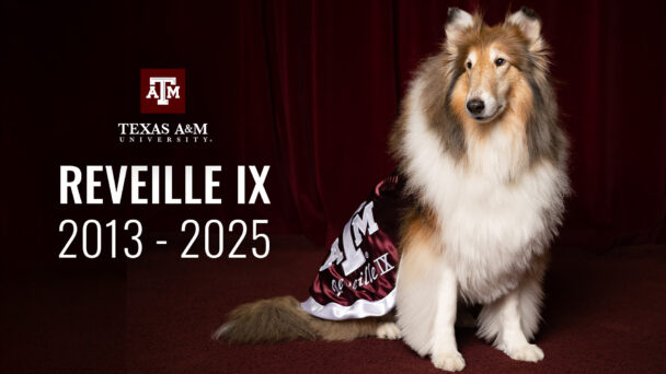Texas A&M to Honor Reveille IX with Memorial Service on October 10