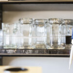 Unveiling the UW Biology Degree: The Journey of Nobel Laureate Mary Brunkow