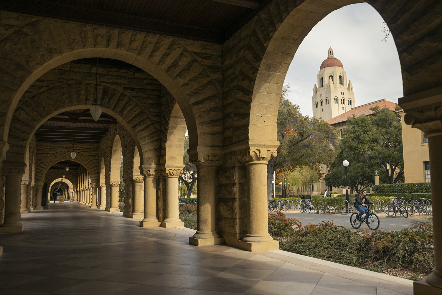 Stanford University Reveals Impressive Endowment Growth and ROI Insights