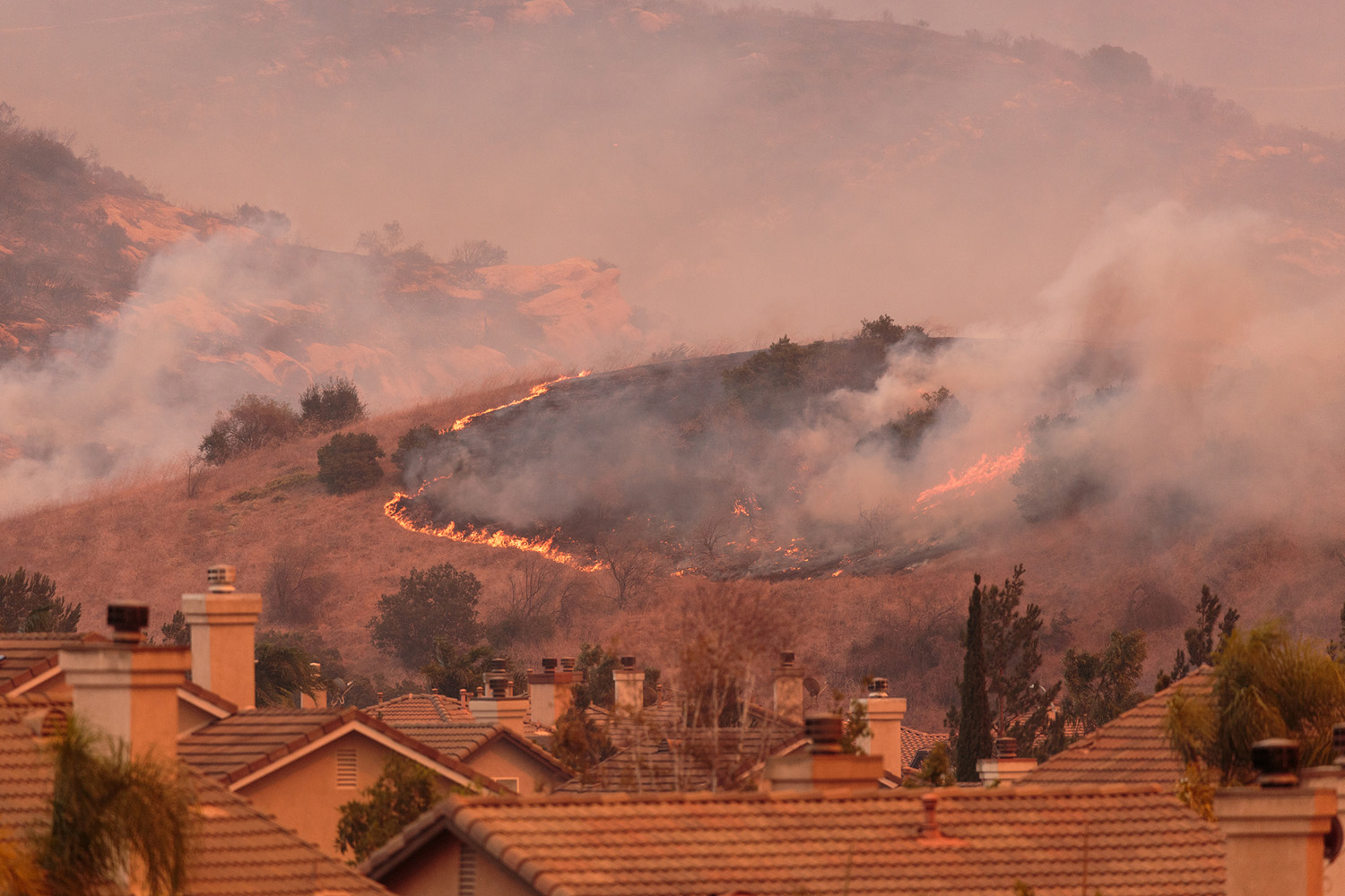 Tackling the Wildfire Challenge: Innovative Solutions for a Safer Future