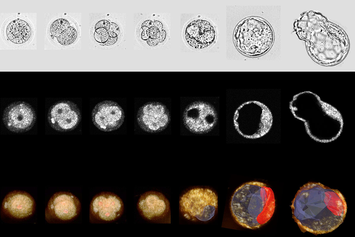 Exploring the Dawn of Existence: A Journey into Life’s Beginnings