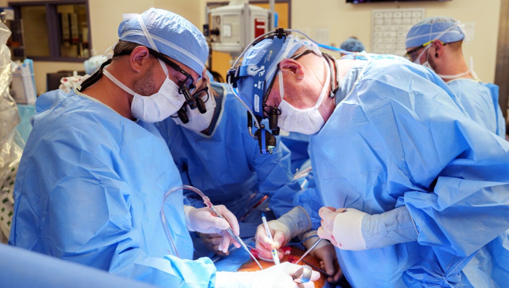 From Vision to Victory: The Rise of a National Powerhouse in Academic Medicine