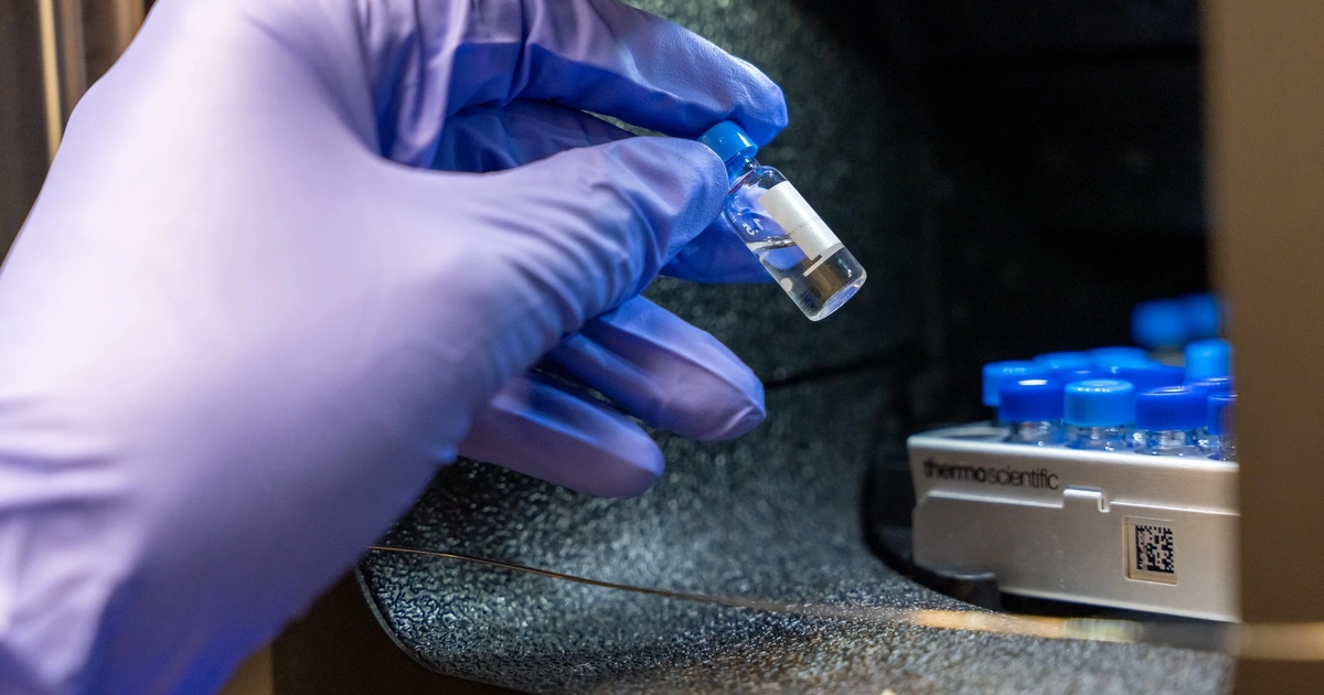 Enhancing Vaccine Effectiveness: Insights from the Experts