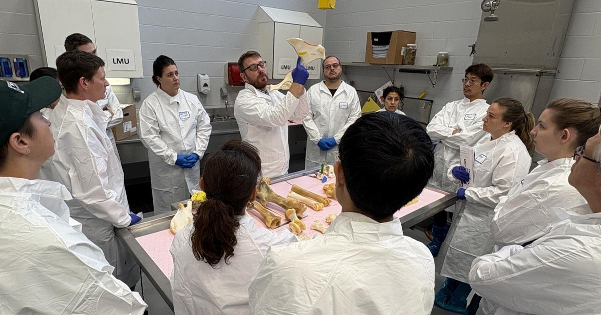 Workshop unites pathologists and regulators to advance racehorse safety