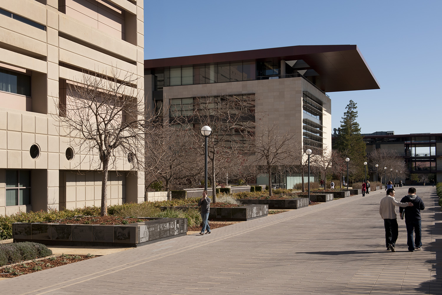 Stanford Researchers Awarded NIH High-Risk, High-Reward Grants