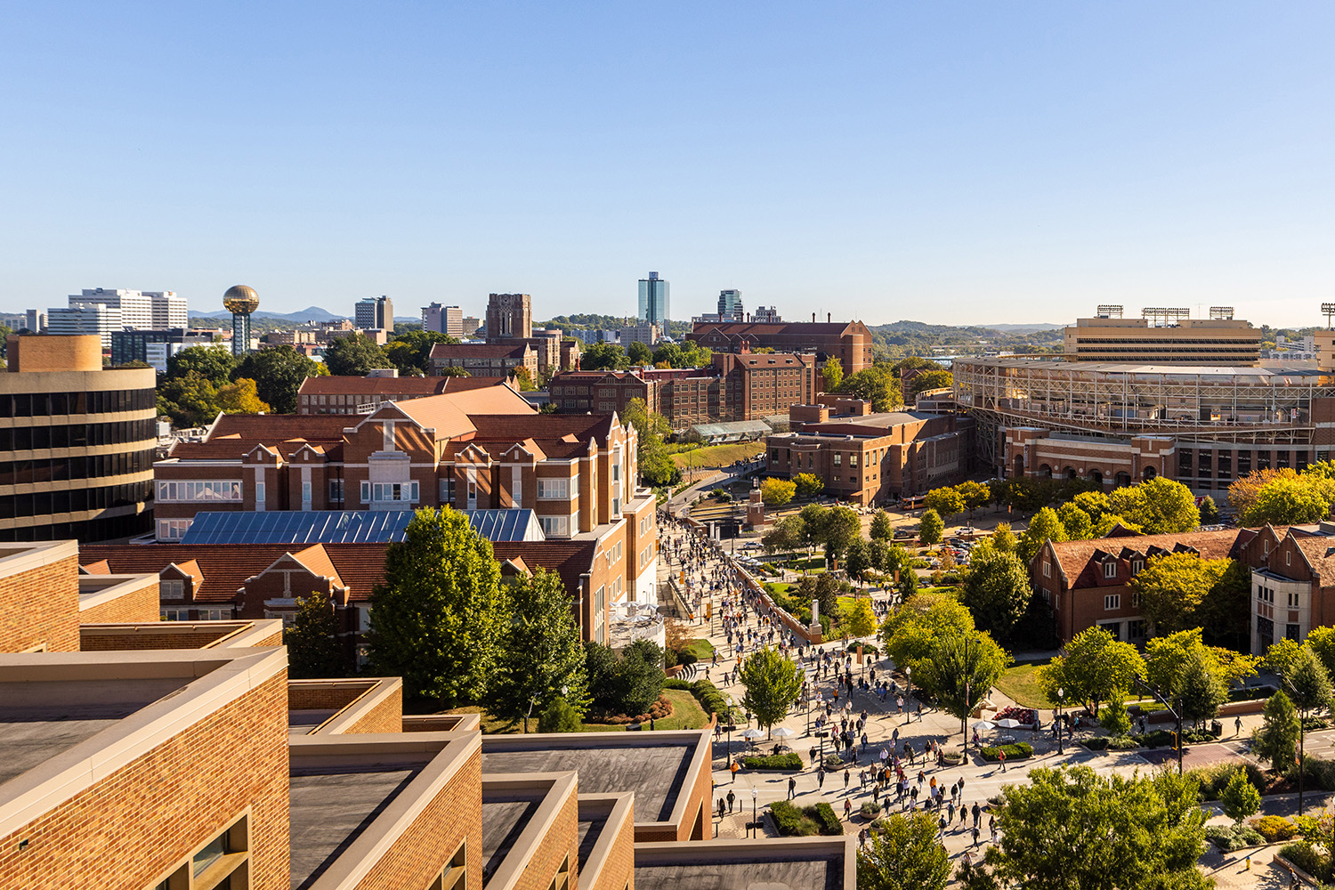 UT Faculty Members Selected as Academic Leadership Development Fellows by SEC