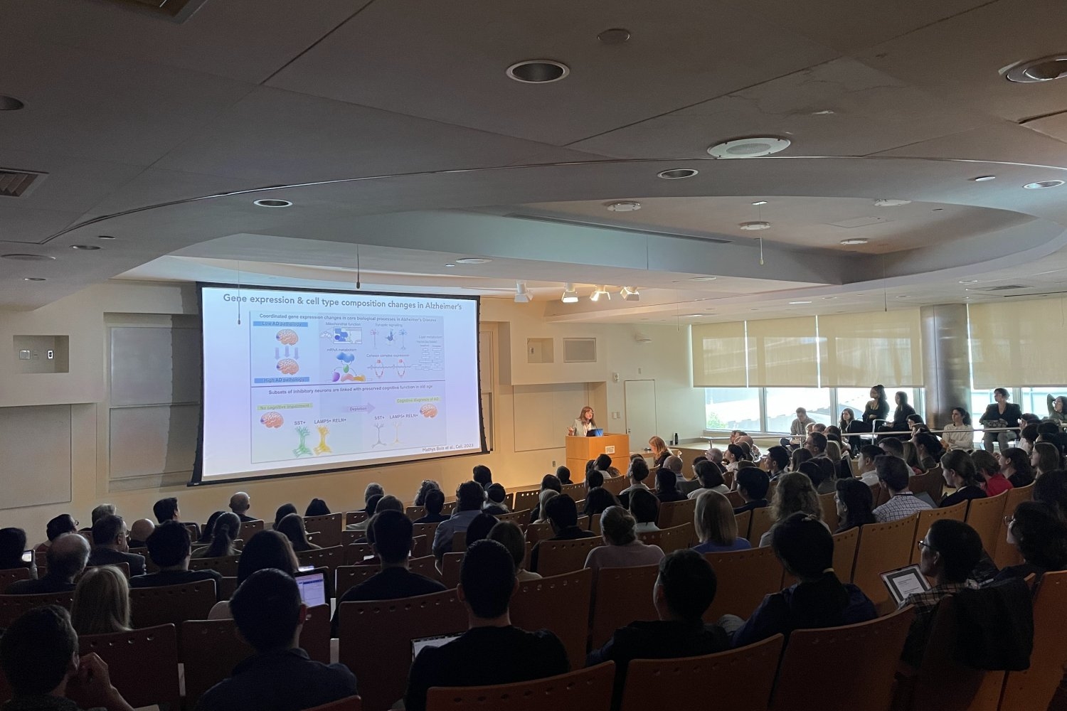 “Exploring the Future: How Immune Insights Are Transforming Brain Aging Treatment”