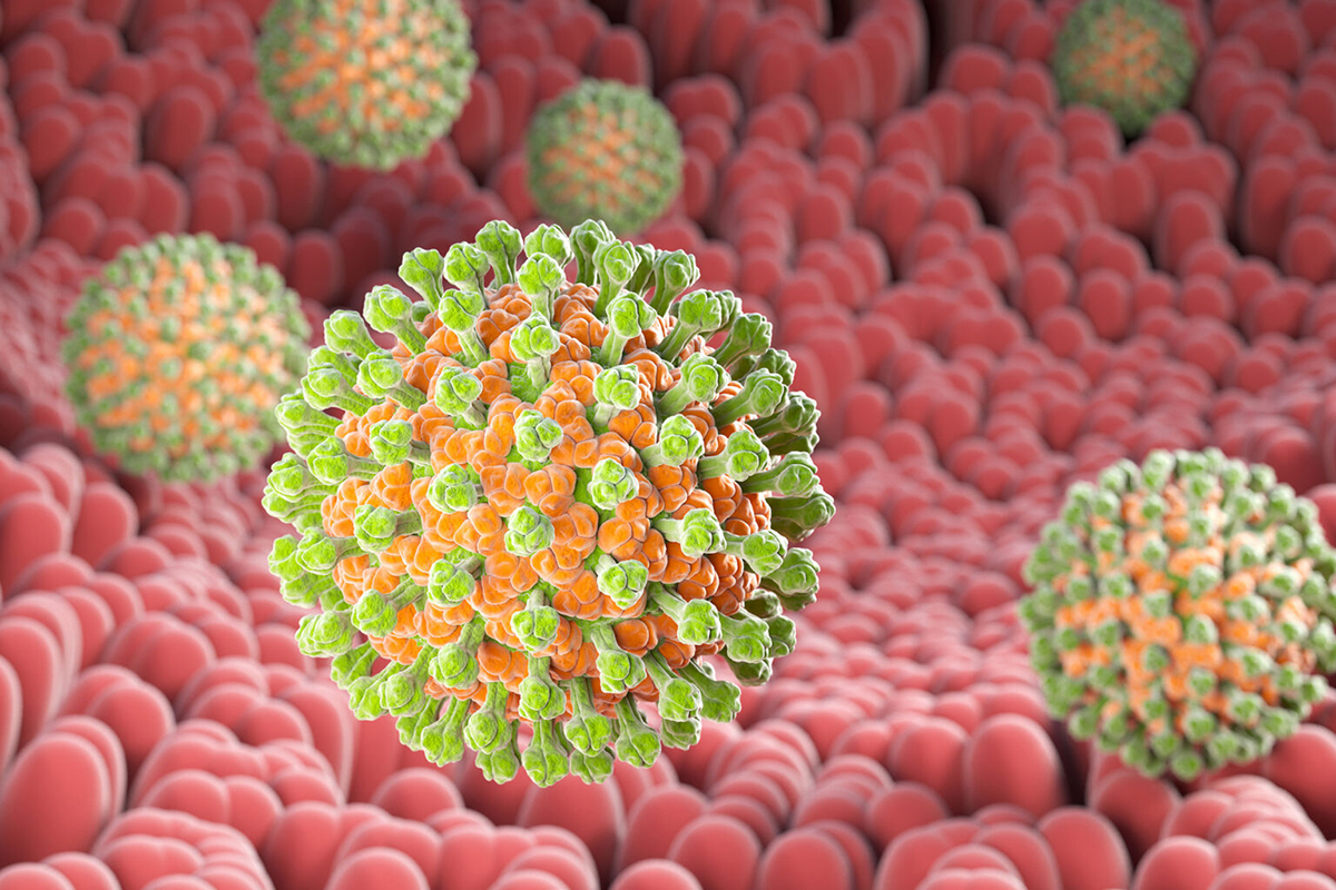 Breakthrough Discovery: Battling a Lethal Infection Head-On