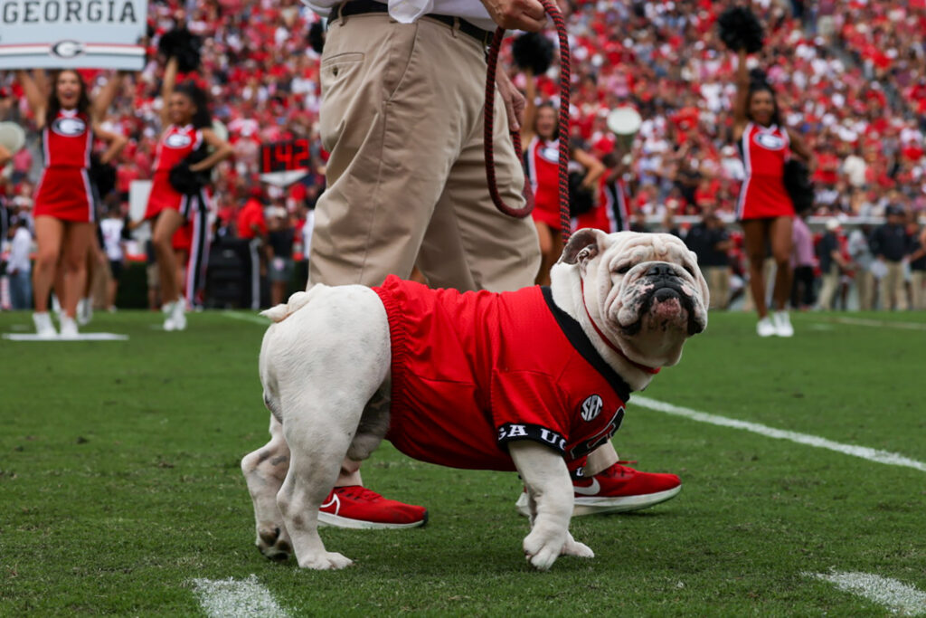 Bulldogs Triumph Over Kentucky During Homecoming Celebration