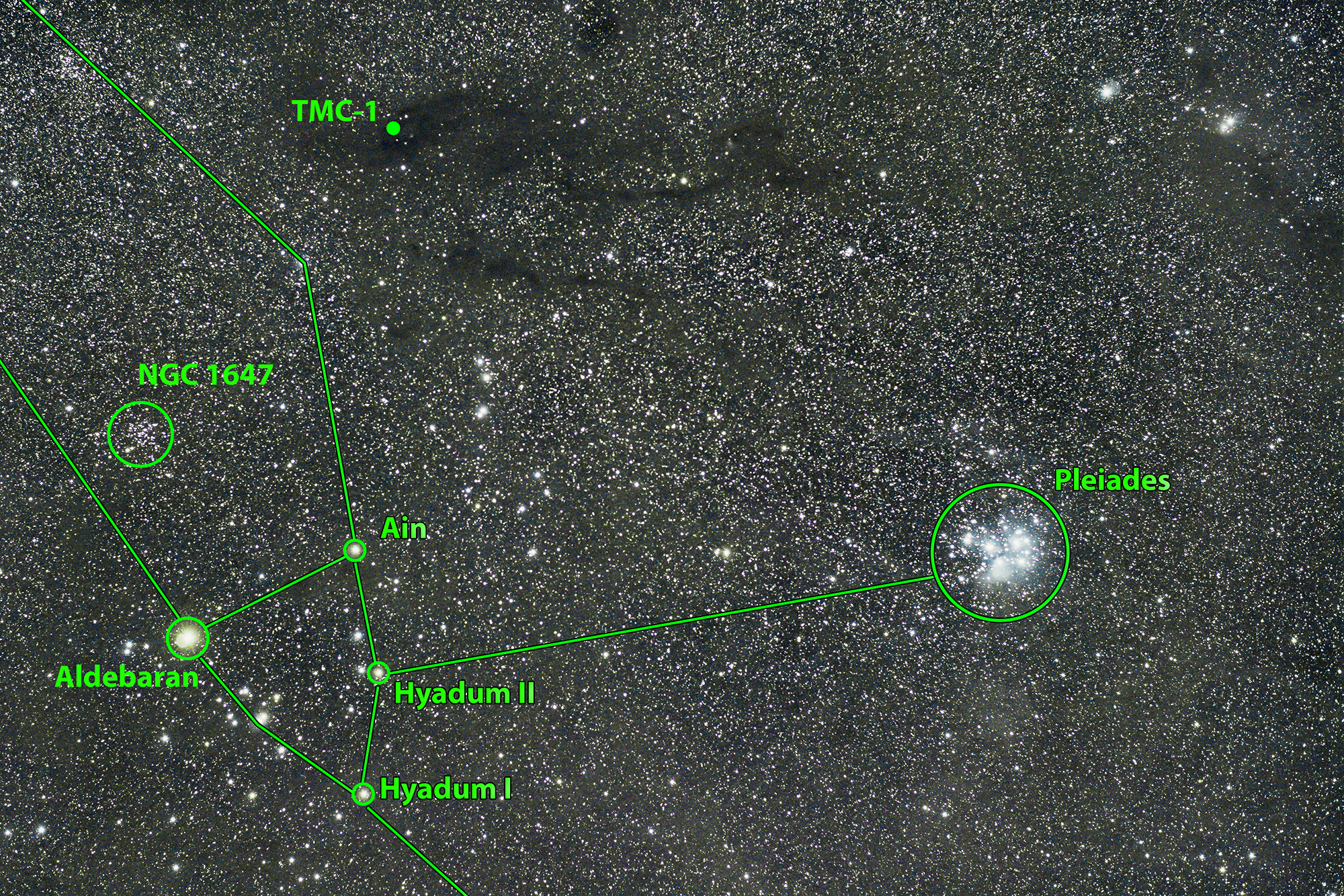 Unveiling Cosmic Chemistry: Taurus Molecular Cloud-1’s 100+ Molecular Discoveries